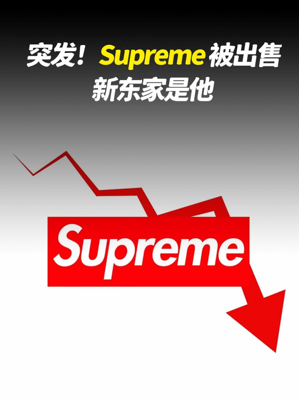 supreme壁纸美元图片