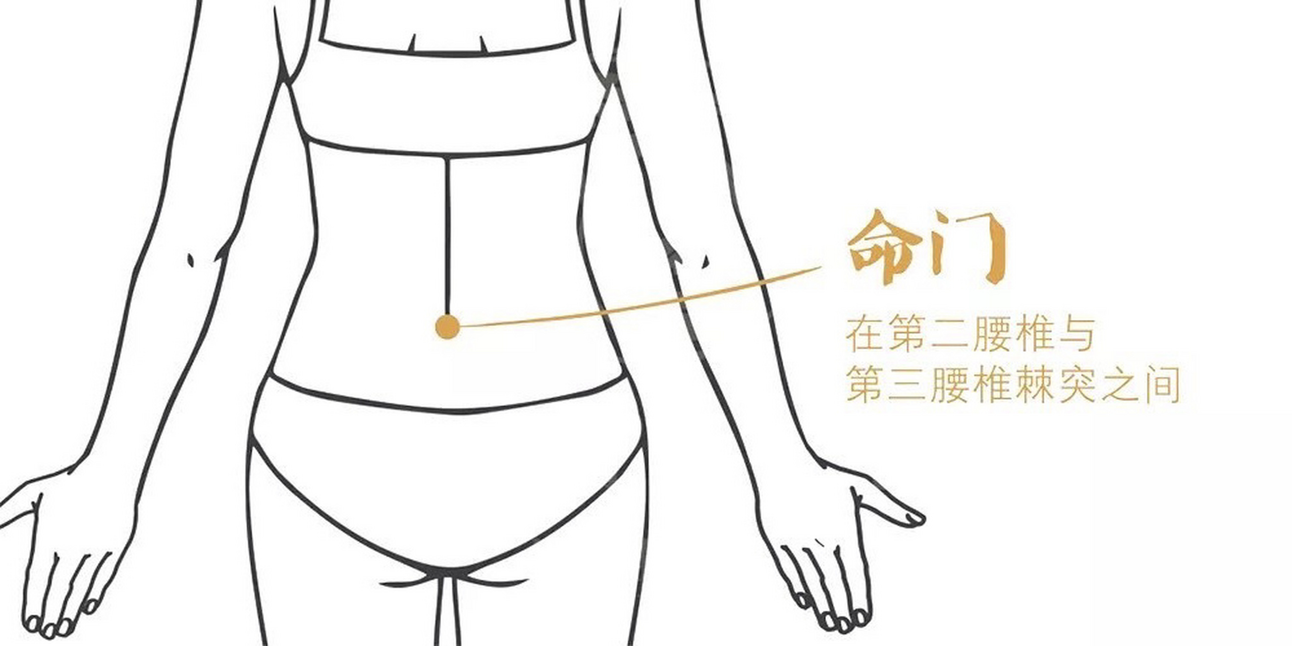 7815每日一穴:命门穴 位置:命门穴位于第二,三腰椎棘突间.