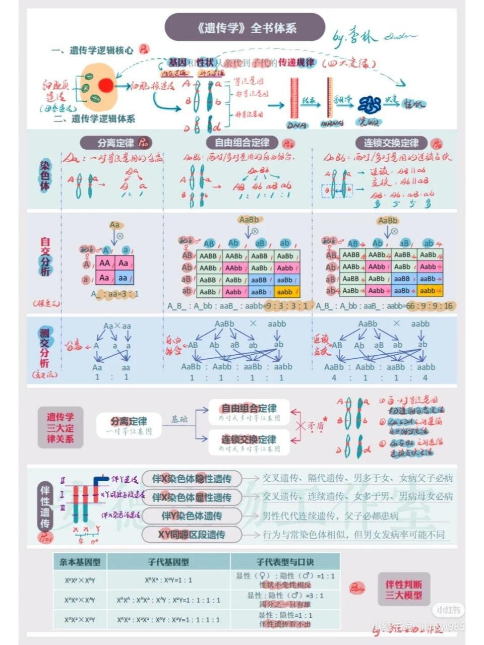 遗传信息的转录图片