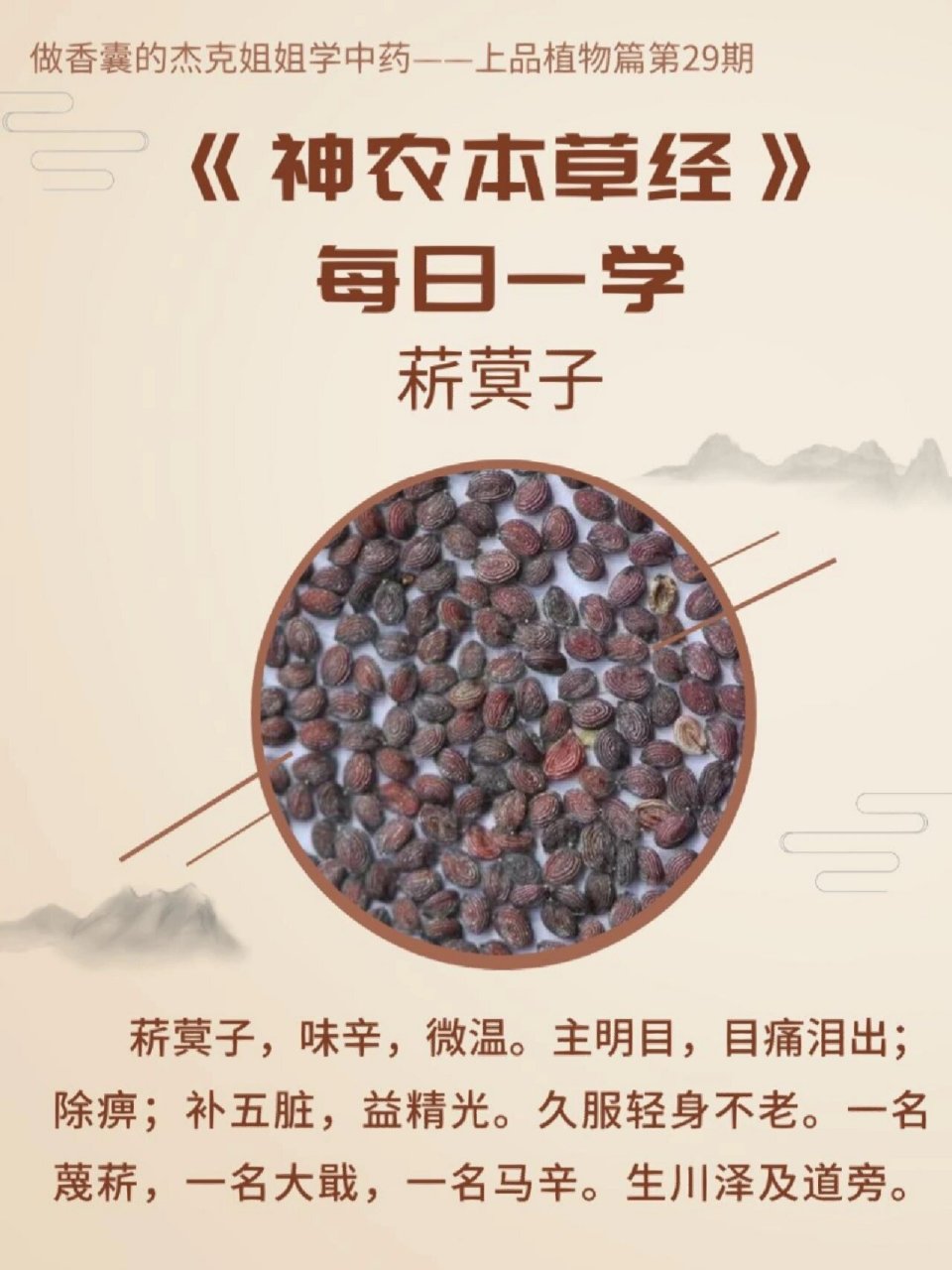 学中药·菥蓂子 菥蓂子 【原文】菥蓂子,味辛,微温.