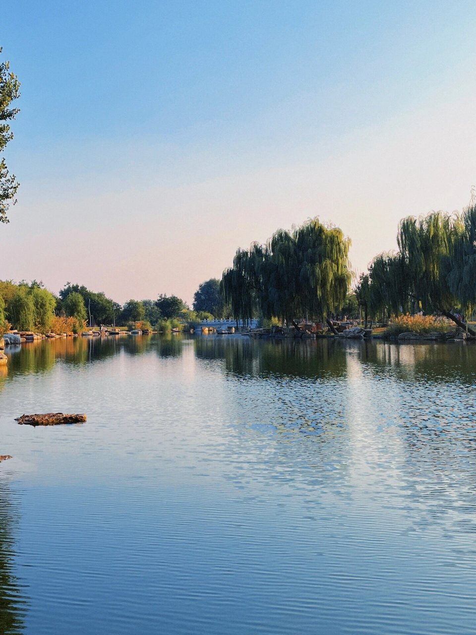 星期天逛公园|邢台园博园