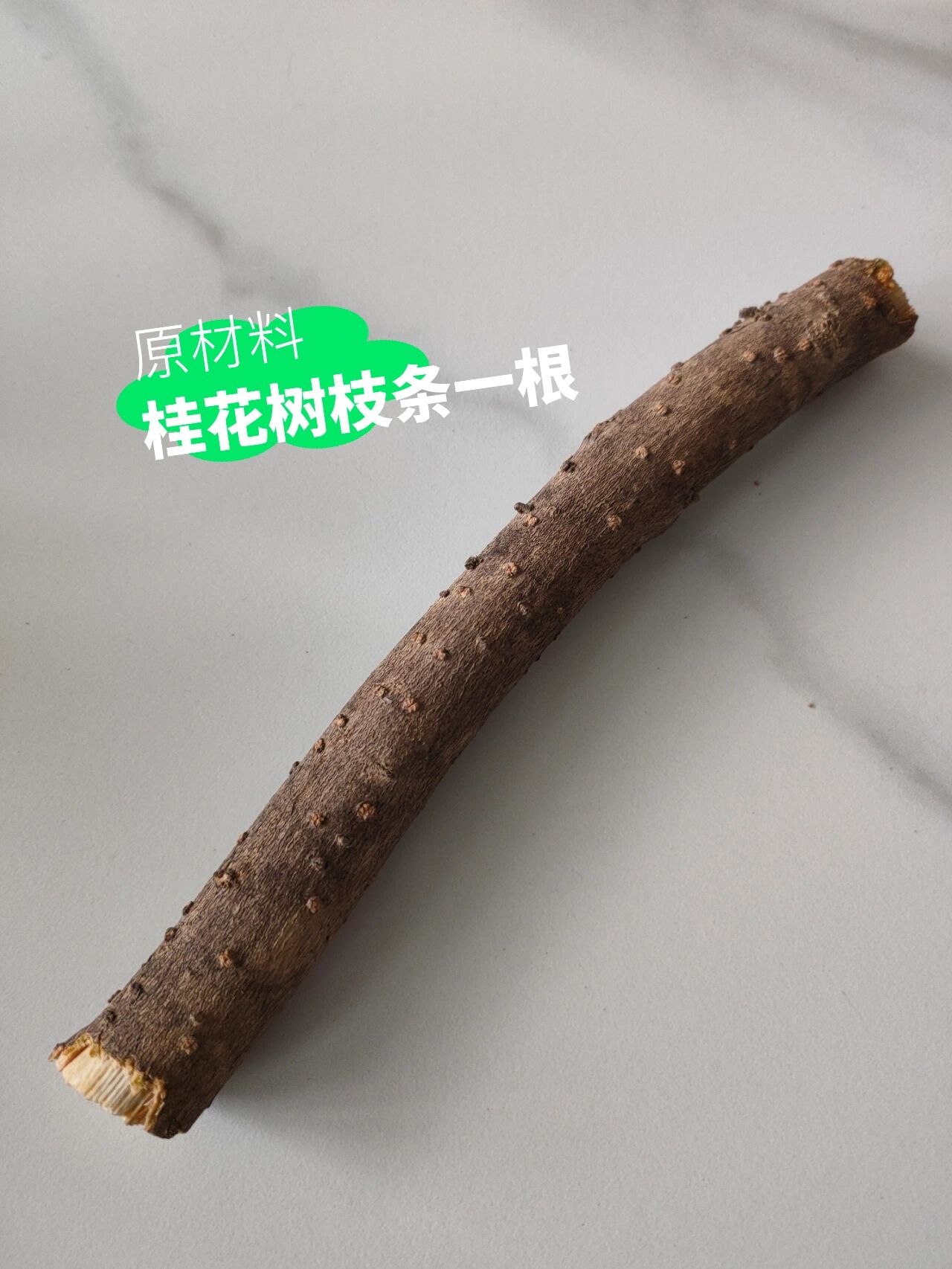 自制木头啤酒起子 利用修剪下来的桂花树枝和一块铁片片自制了一个