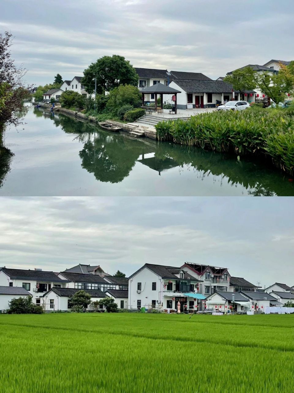 上海青浦|好吃好看的农家乐92 推荐上海岑卜村和青西郊野好吃好看的