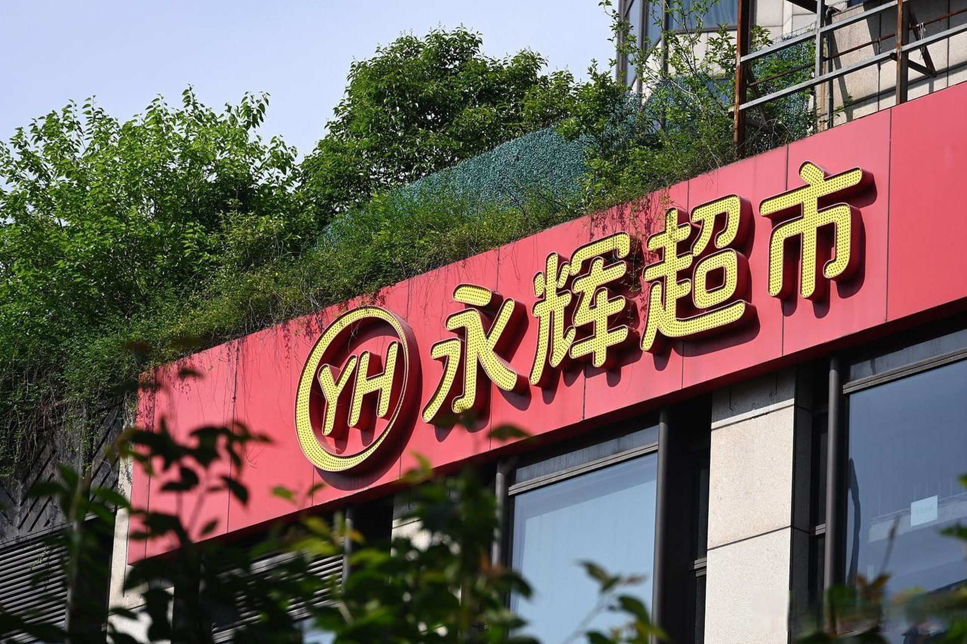 张宣宁推出合伙制和赛马制来搞活.