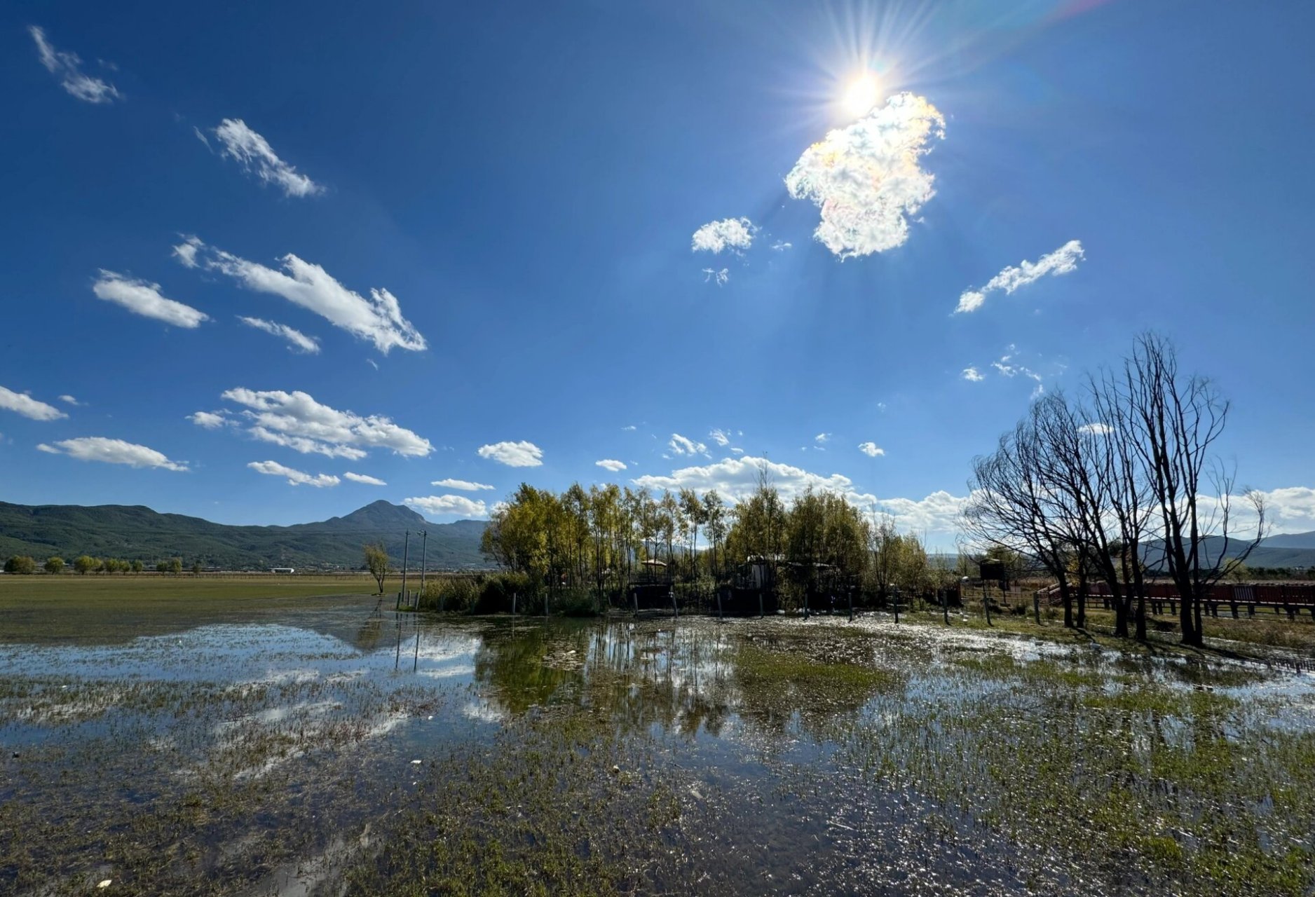 拉市海免费攻略 打车定位:云南丽江拉市海高原湿地省级自然保护区管理