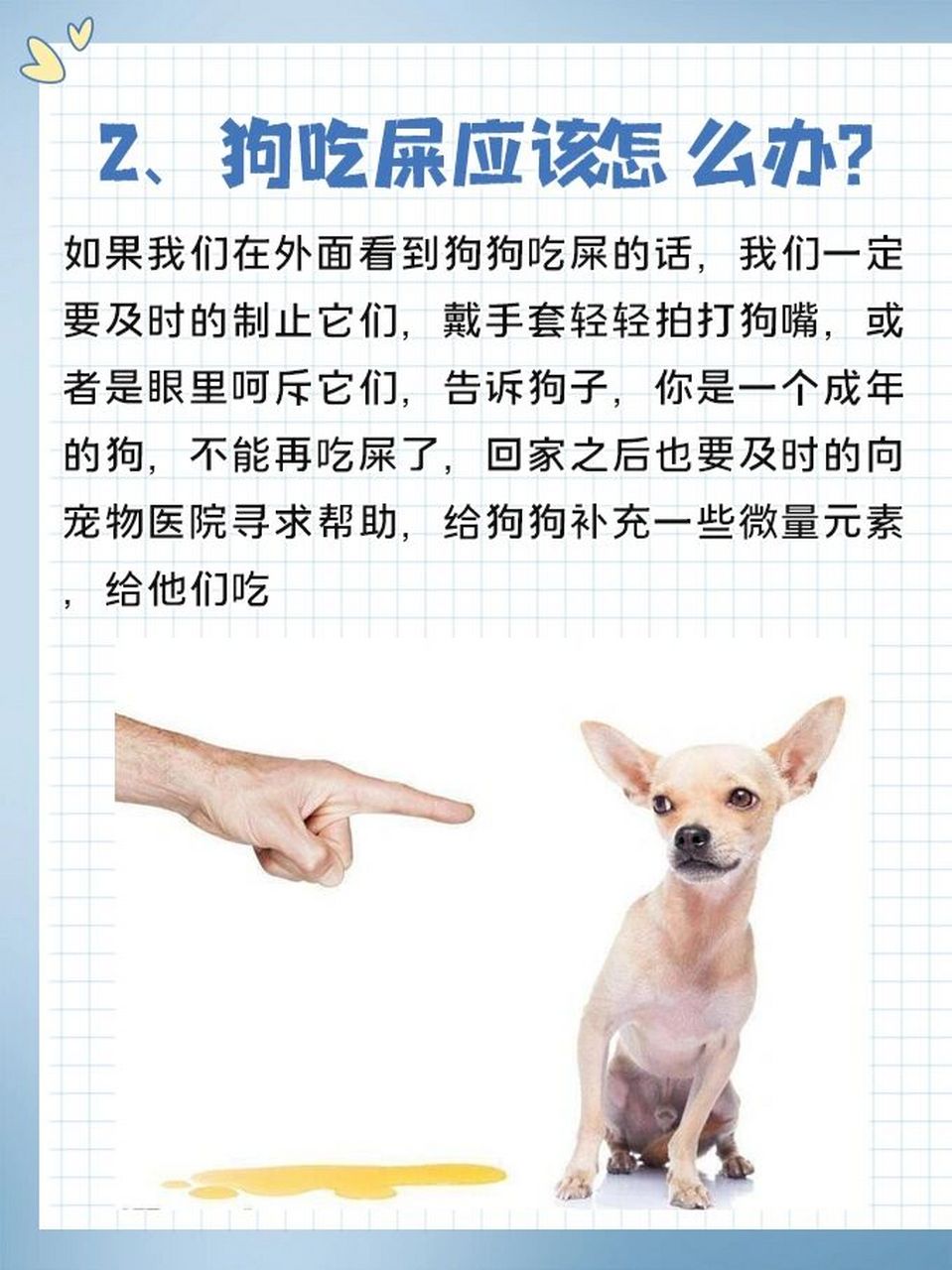 狗为什么喜欢吃屎71狗吃狗屎怎么办7215 导读: 一般来说,导致