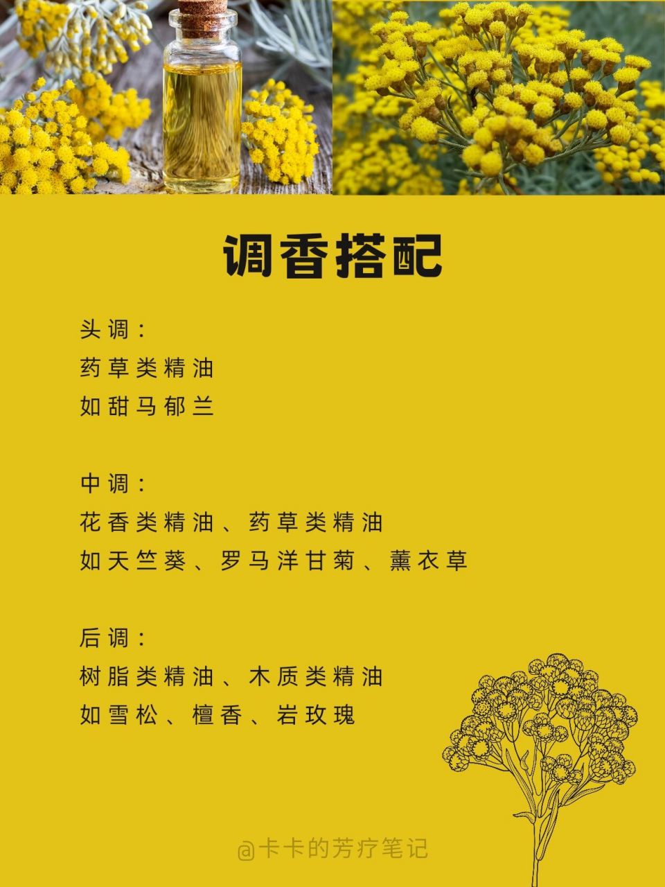 精油调香之意大利永久花:赶走郁闷充满爱!