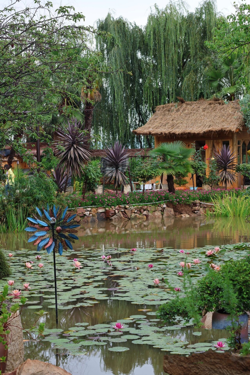 曲靖周边 真的很美的山庄7215 在麒麟水乡附近的燕子湖山庄 环境