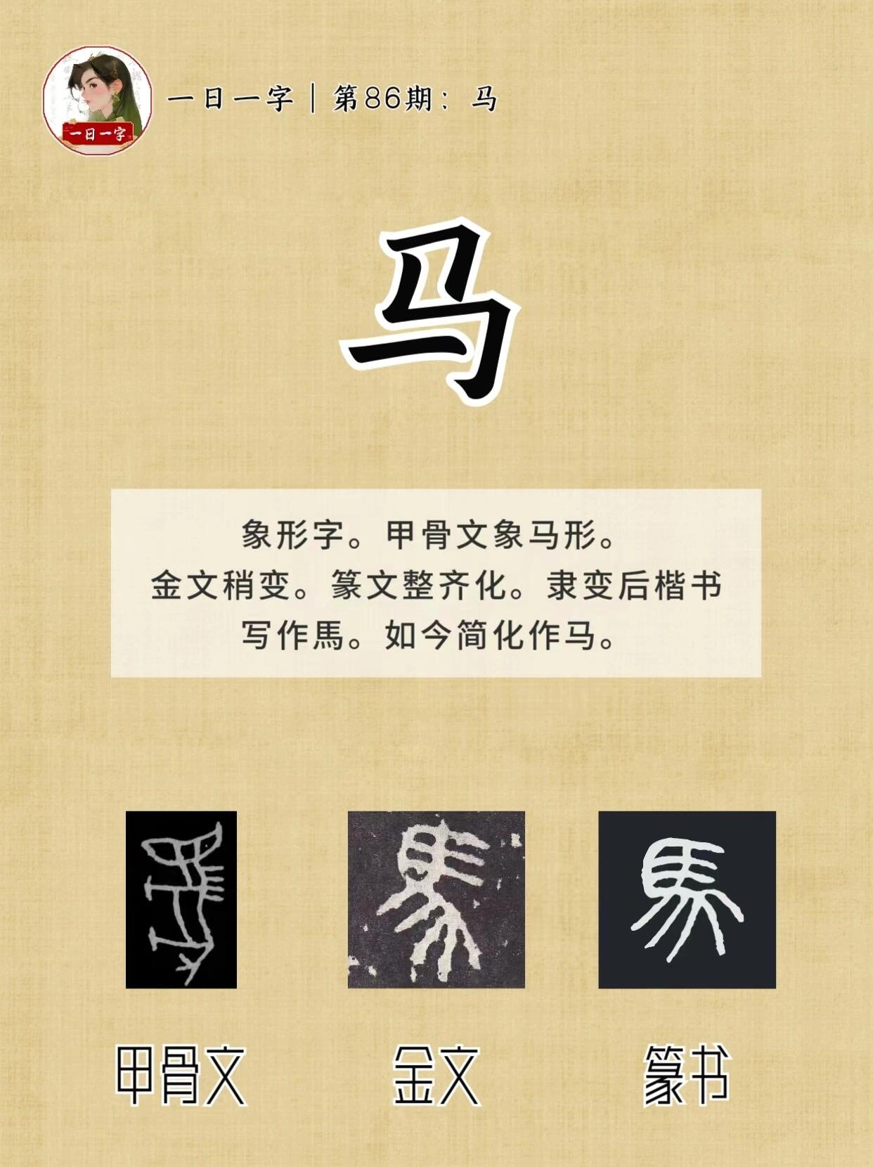 马儿马儿你慢些跑(86)马的字源 这么可爱的马字,当然是象形字啦96