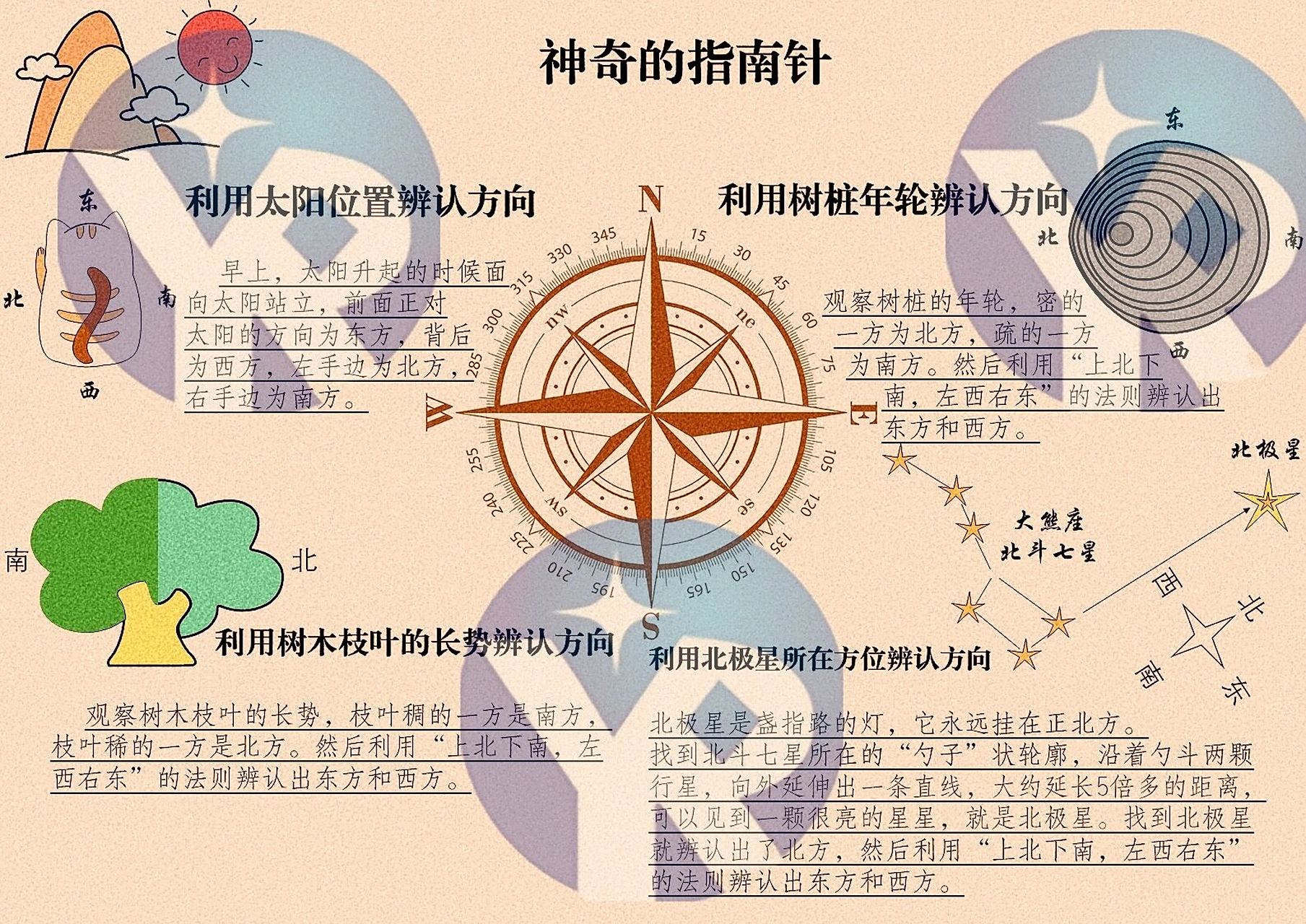 二年级语文下要是你在野外迷路神奇的指南针 手抄报