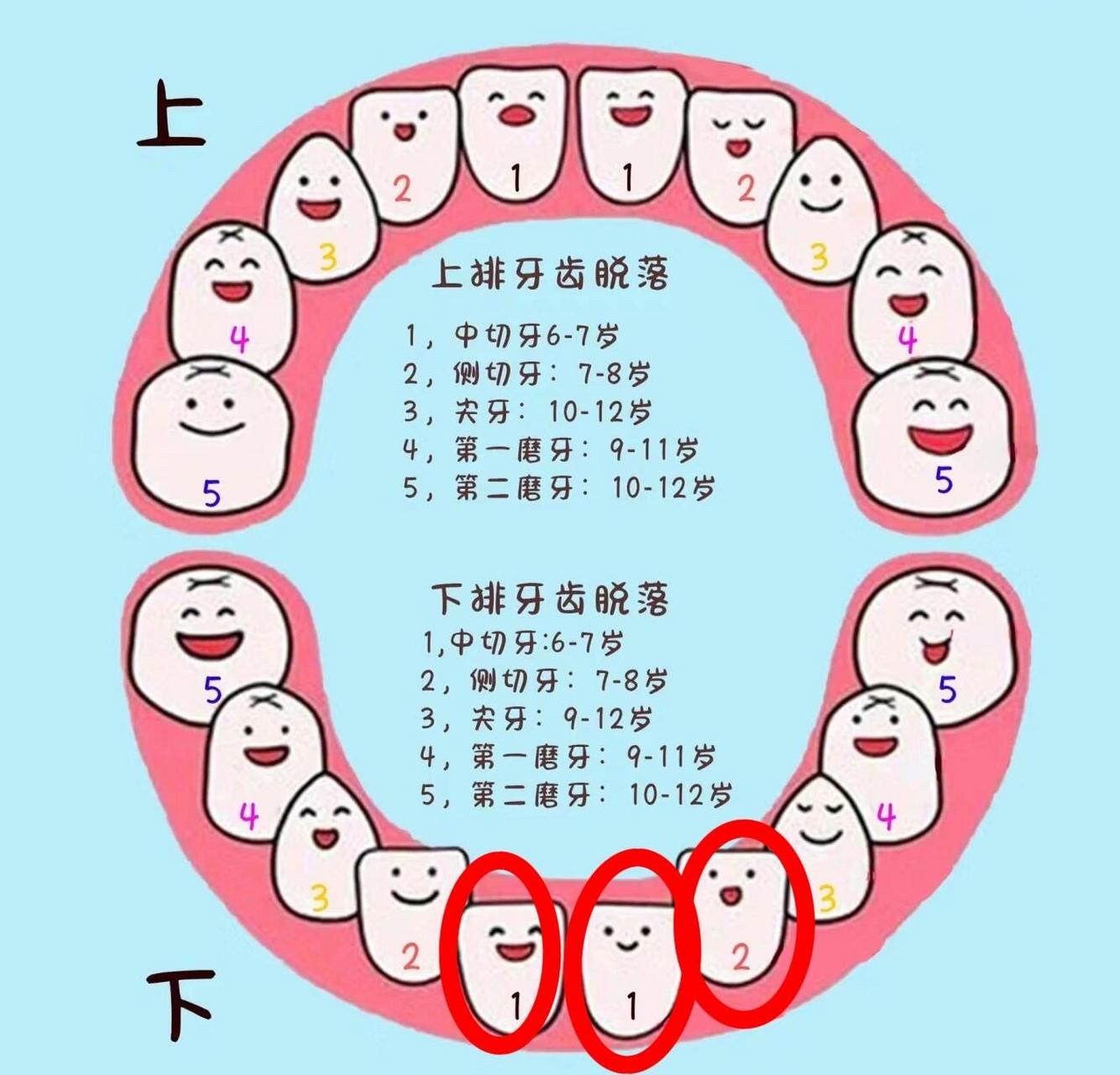 我娃这换牙顺序有点奇怪呀 有木有和我家娃一样的,五岁半还没到,上面