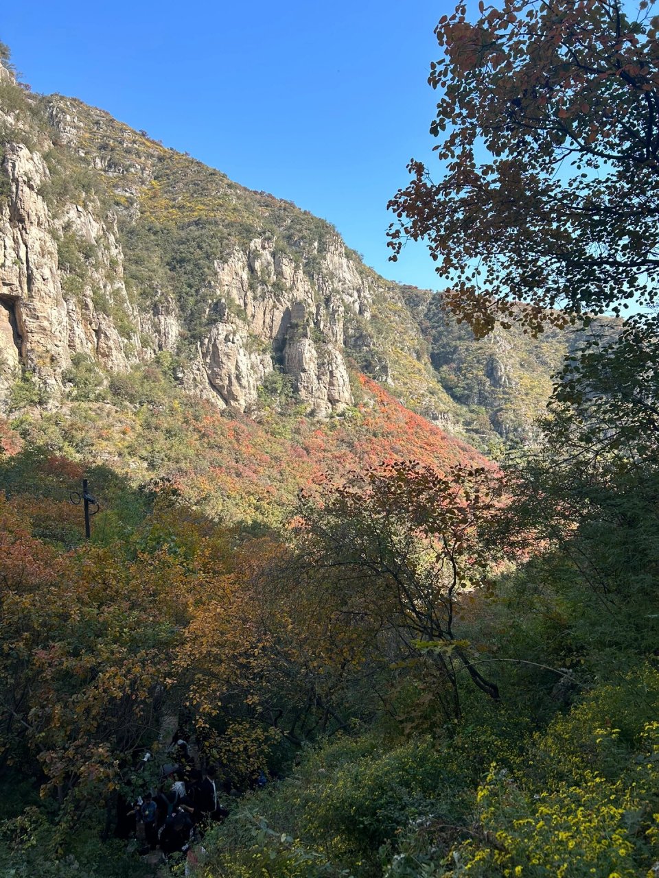 邢台 看红枫叶93好去处～ 沙河  佛照山    62ye   路程 :市区