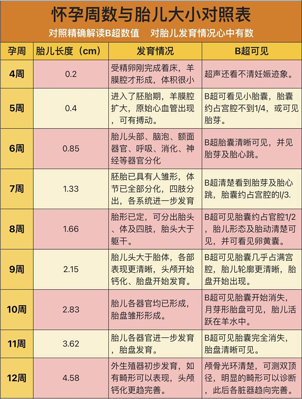 9718周做了这个发育b超,拿到一看,就简单的3个数值,连孕周都没写