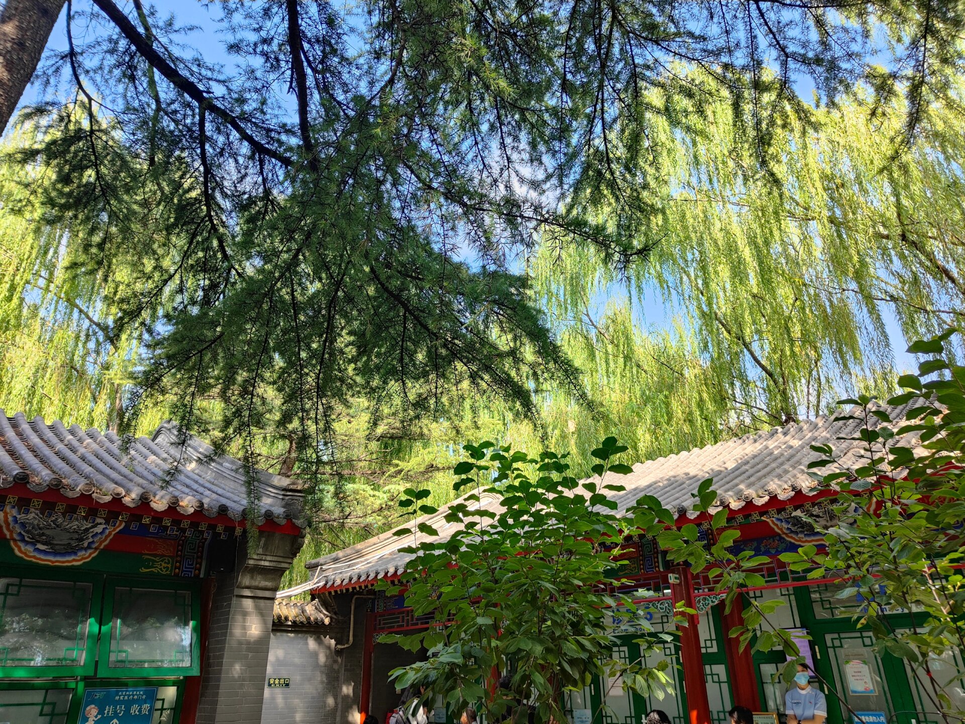 北京積水潭醫(yī)院、西城區(qū)號掛號號販子實力辦事的簡單介紹