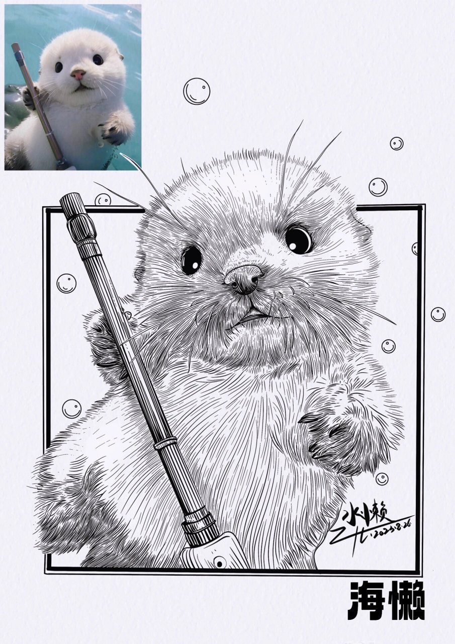 海懒:动物线描写生:线描速写分享 海獭 是食肉目鼬科海獭属哺乳动物.