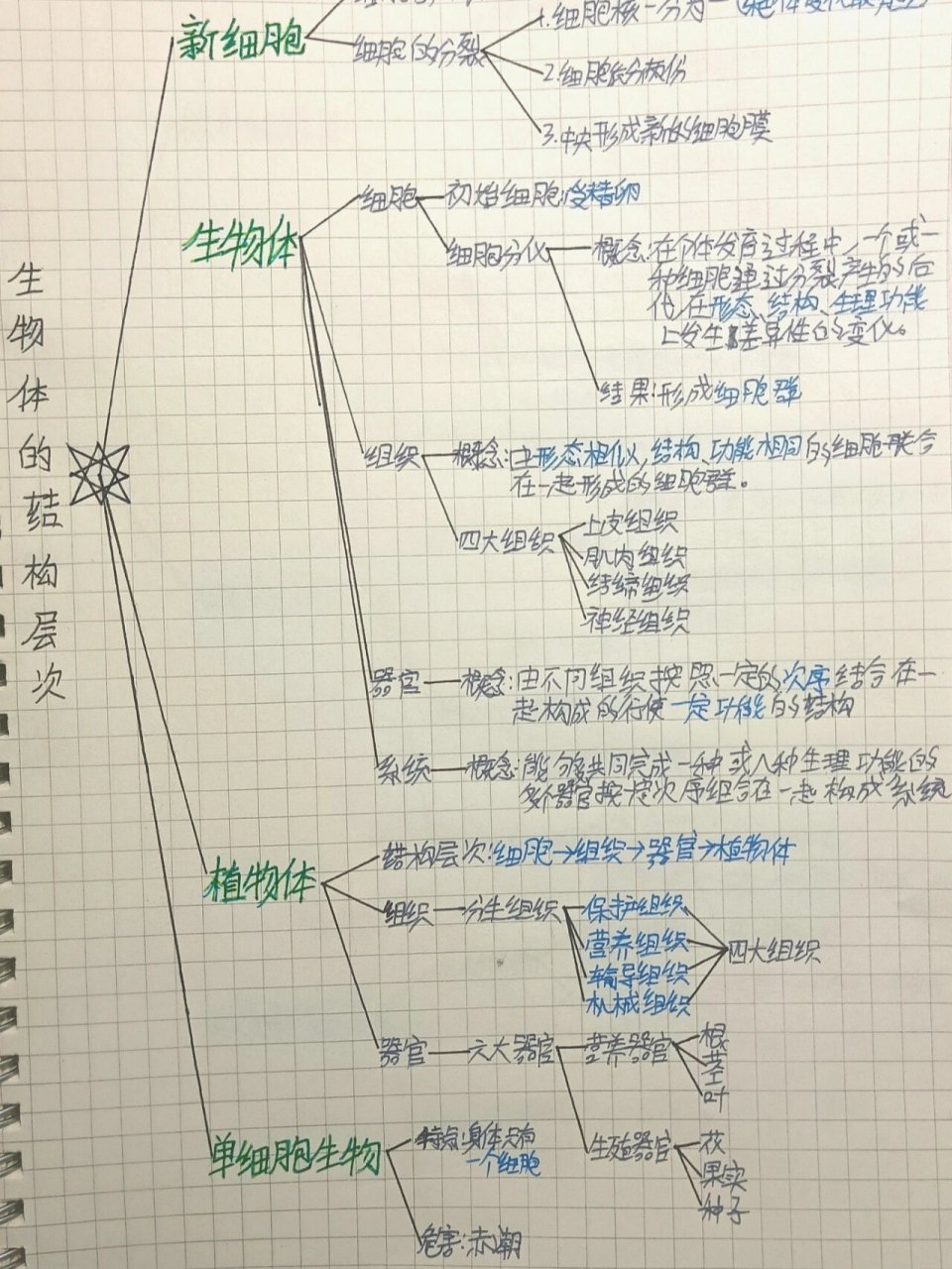 生物七上生物体的结构层次思维导图