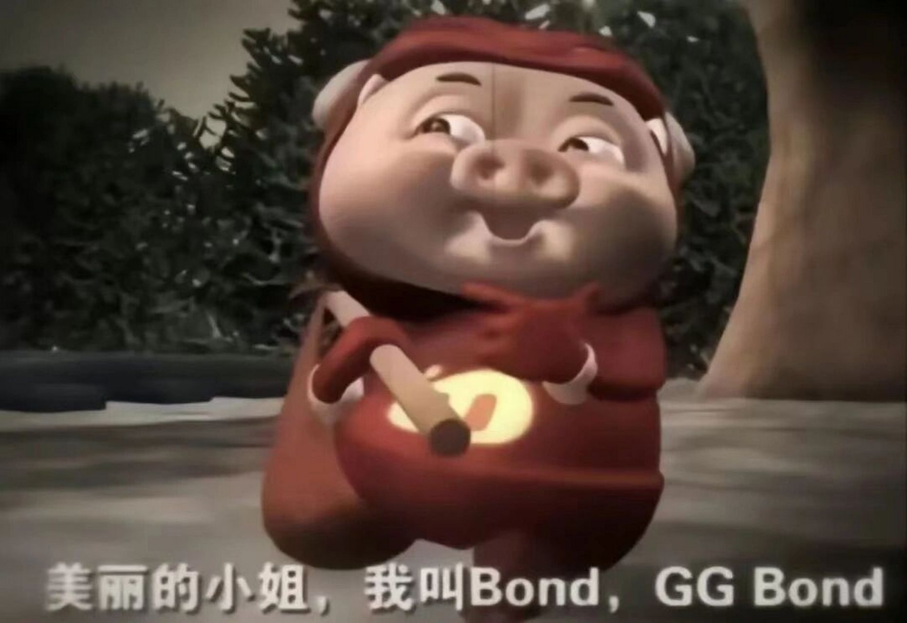 美丽的小姐 我叫bond gg bond