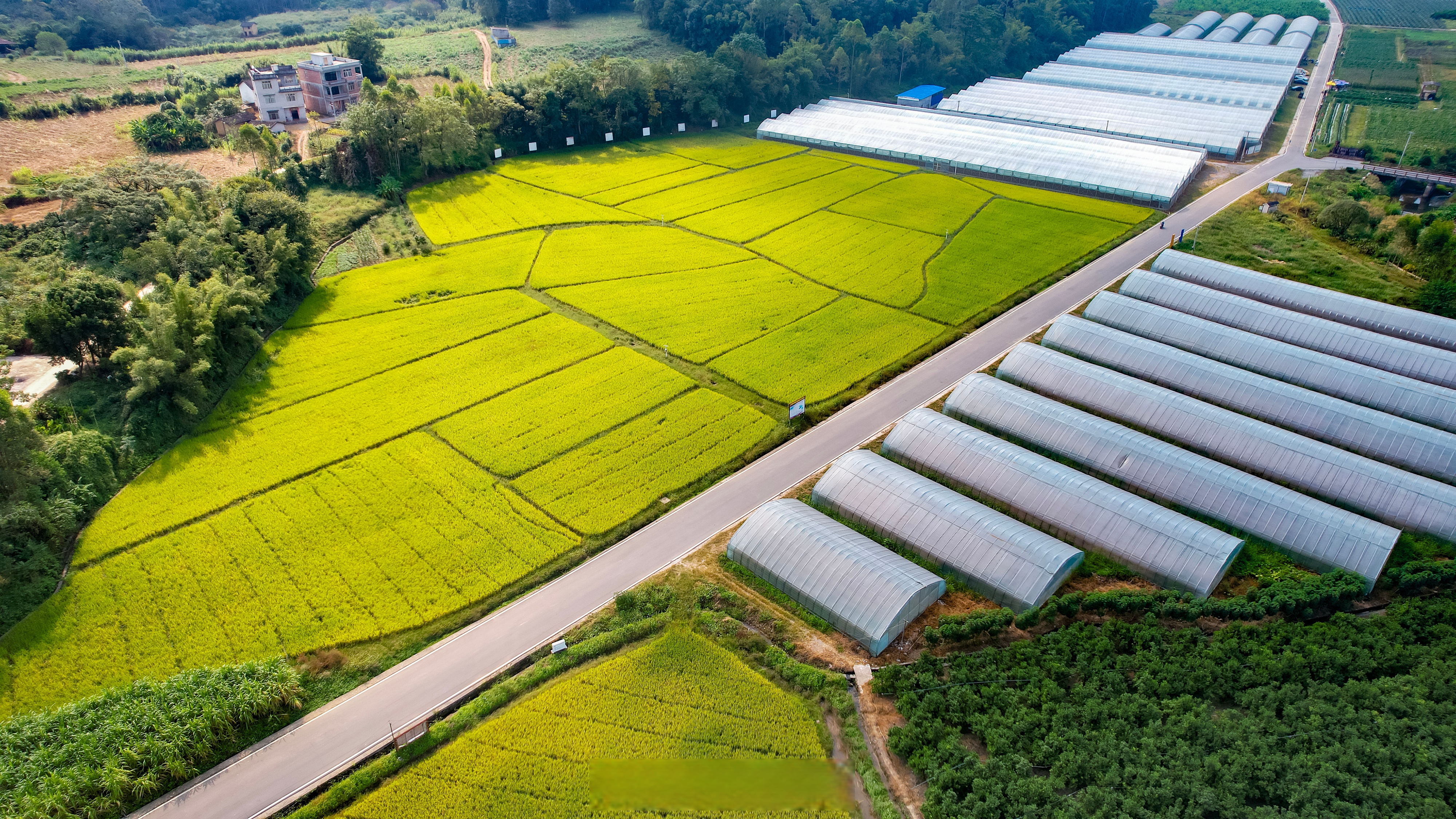 【路畅景美乡村兴】近日,广西梧州市蒙山县文圩镇屯治村,笔直宽广的