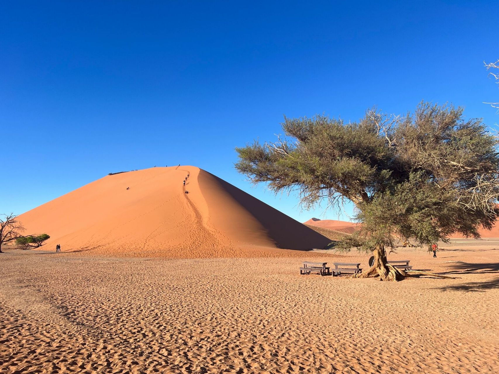 纳米比亚-红沙漠 纳米比亚红沙漠- 红沙漠以45号沙丘(dune 45)最有名.