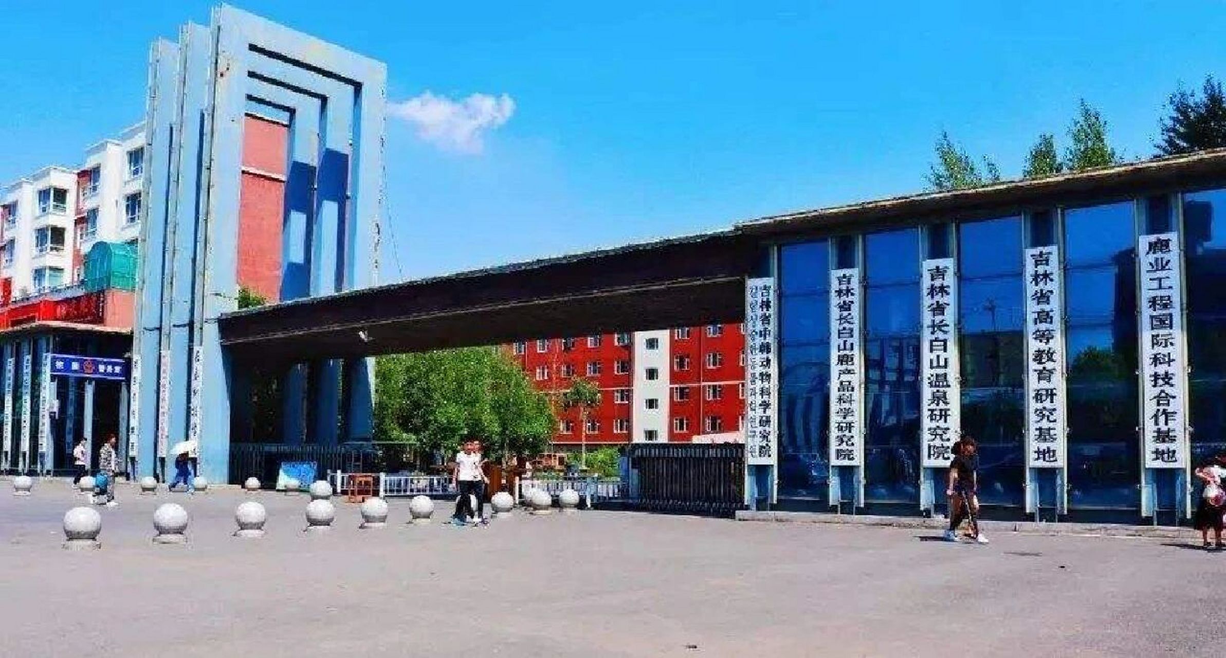 欢迎报考长春科技学院 欢迎学弟学妹们报考长春科技学院 哈哈哈哈哈哈