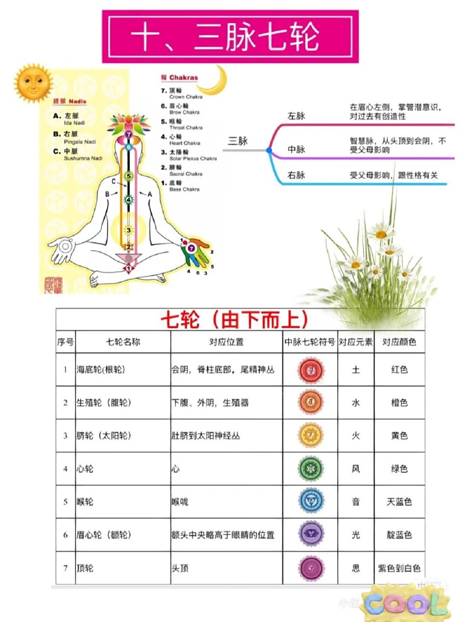 七轮的位置和作用图片