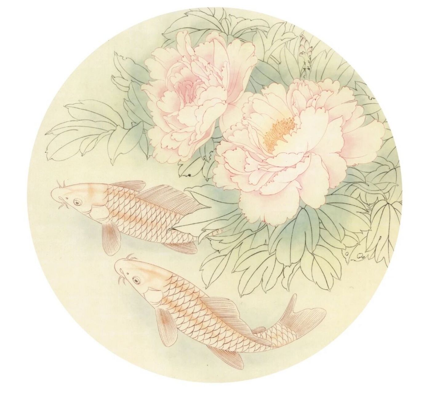工笔画步骤分享《牡丹鲤鱼图》 1,勾线,红鲤鱼用大红加淡墨勾勒,牡丹