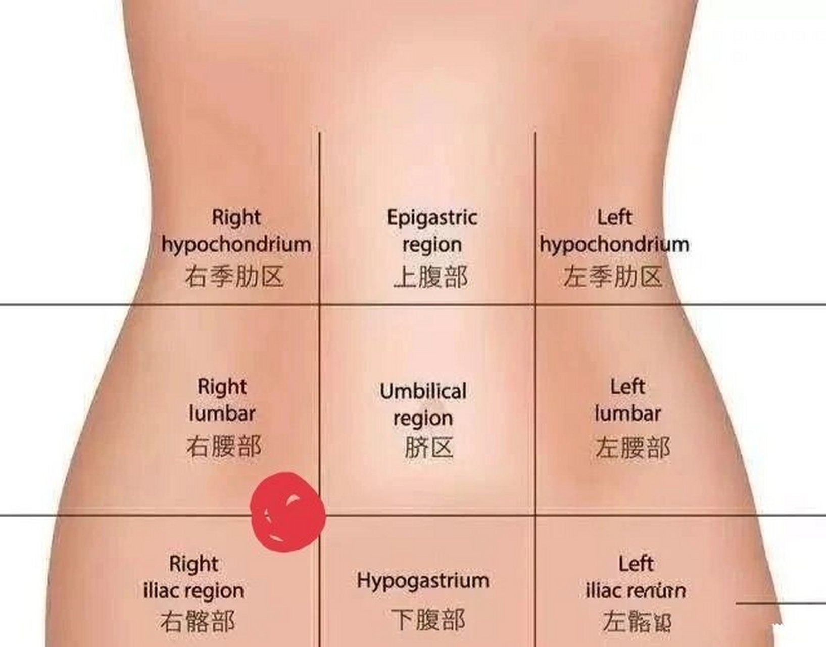 女人右下腹疼痛位置图图片