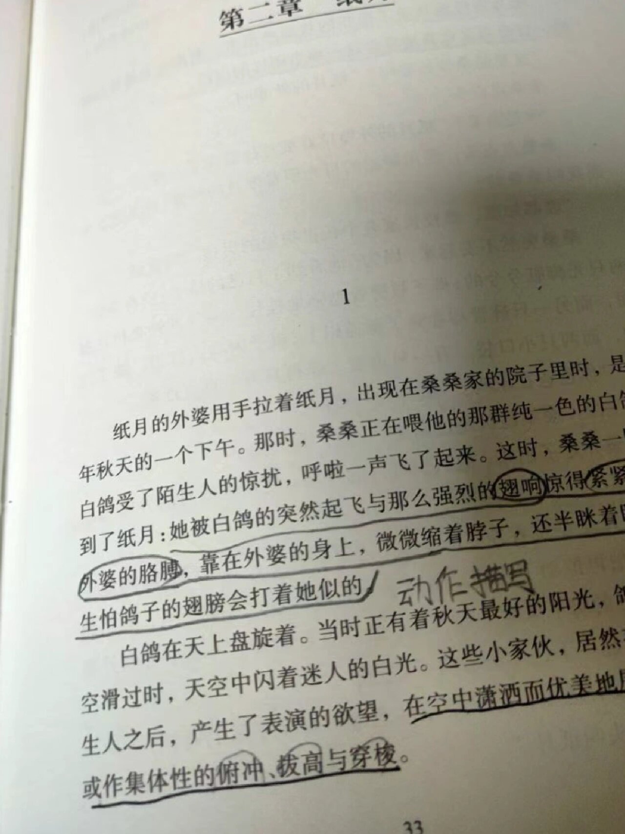 草房子 纸月 纸月,一个气质非凡带有传奇色彩的女孩.