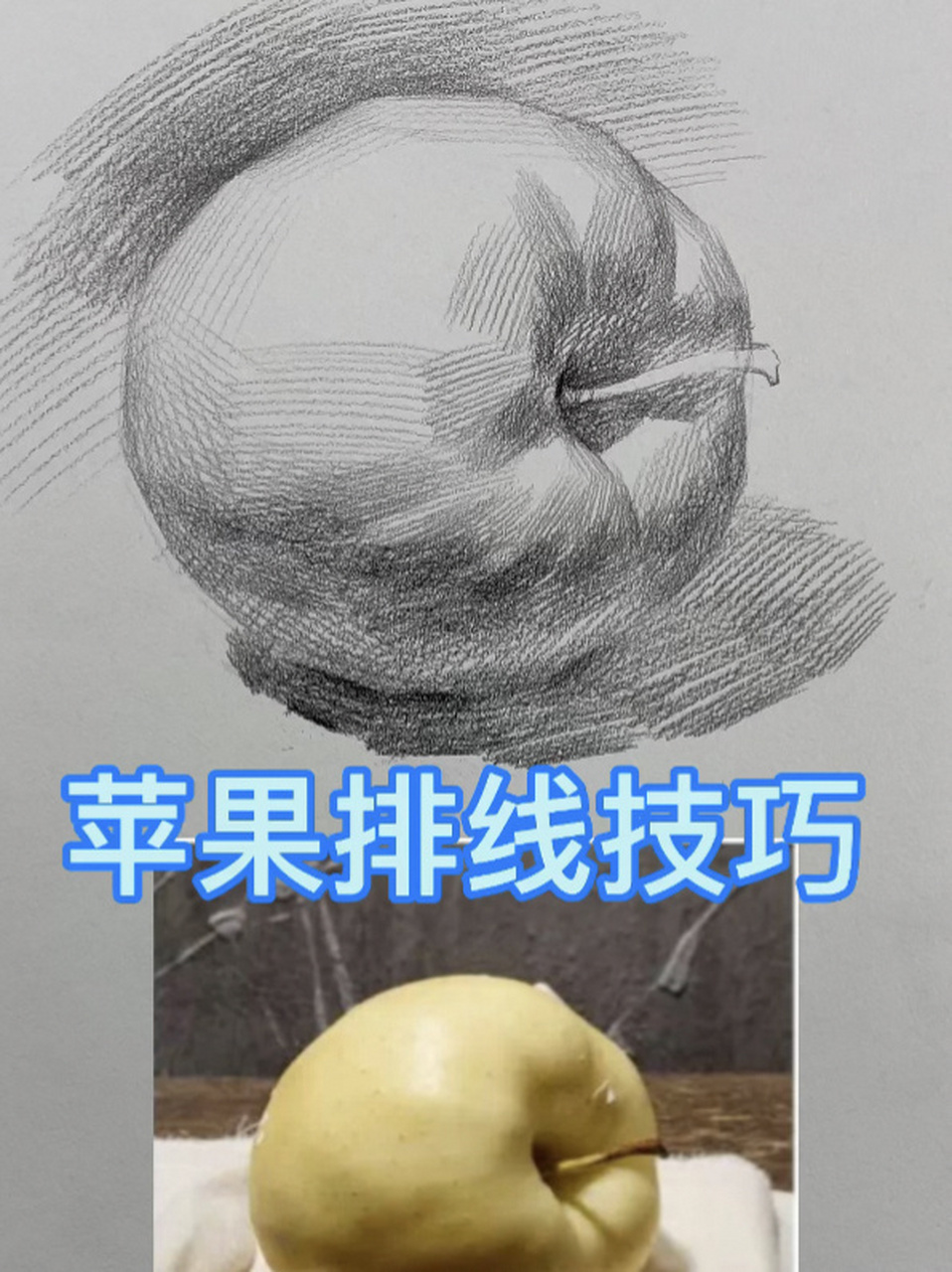 全国名师-苹果排线技巧 蔡兼素描静物 50秒苹果排线教程,一学就会!