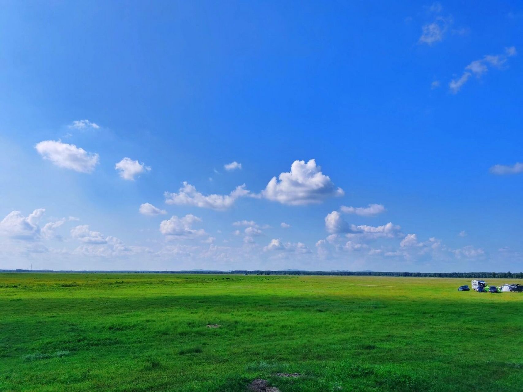 辽河大草原美景 七夕和同学去了辽河大草原,因为渡口排队的车太多