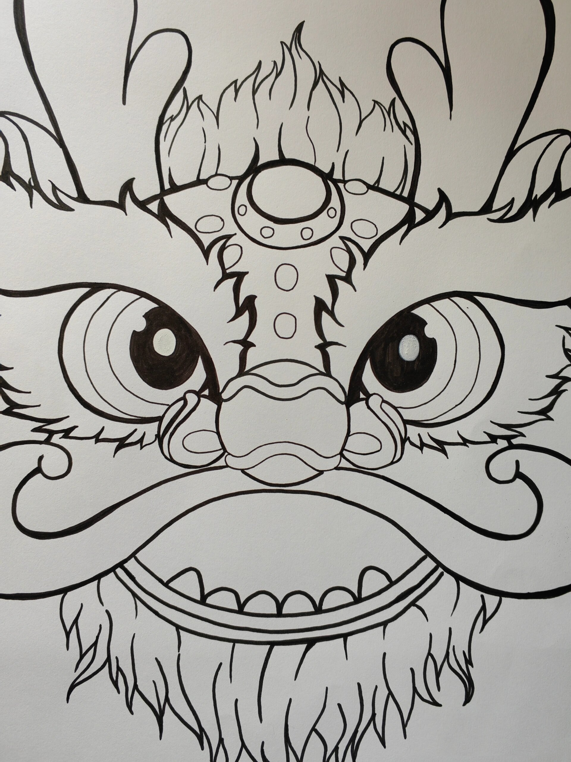 挑战画画100幅/5⃣️2⃣️龙年 a3纸  勾线笔 临摹
