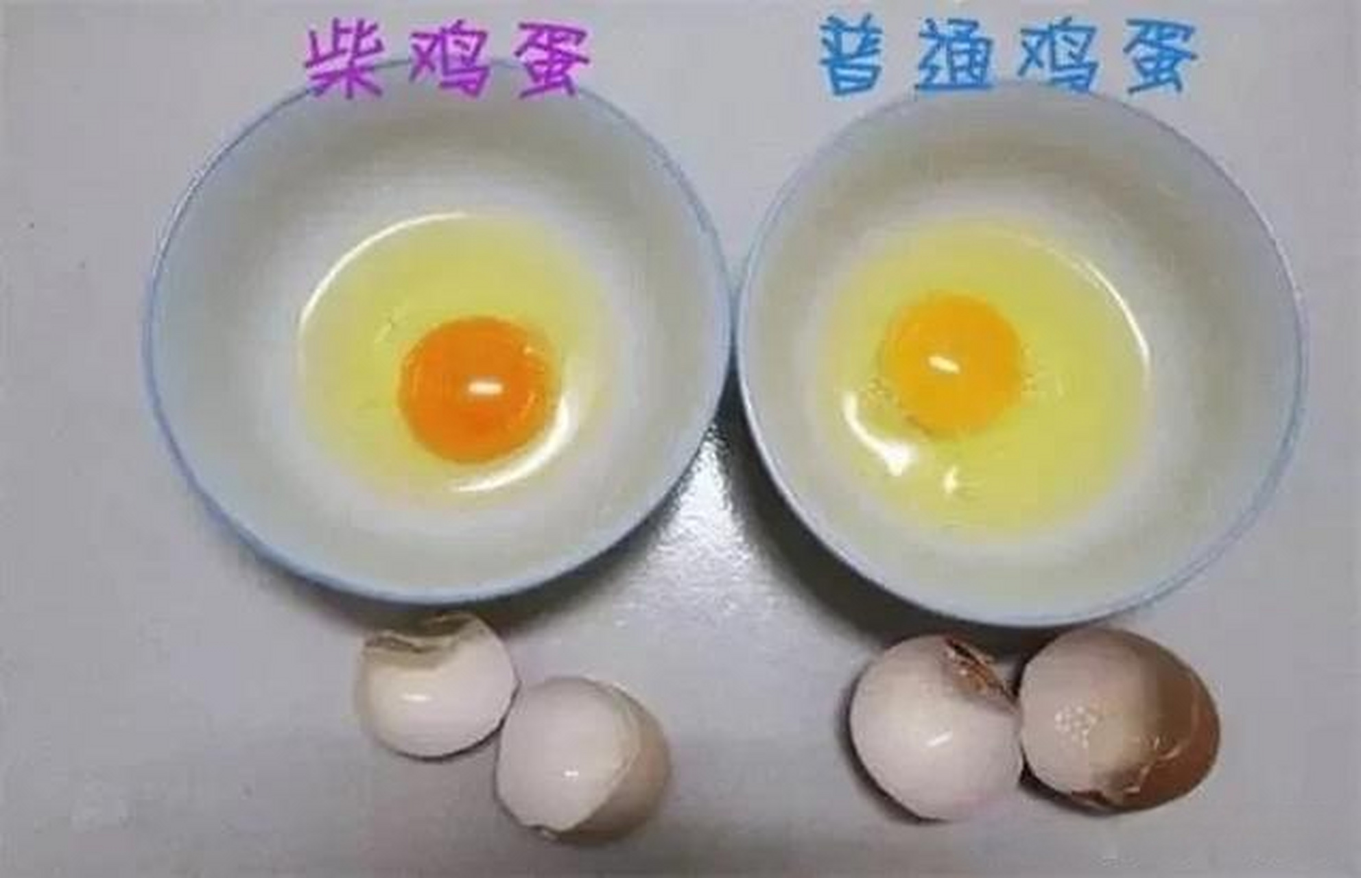 价格比普通鸡蛋高很多,却有很多人愿意买,他们就觉得笨鸡蛋更健康.