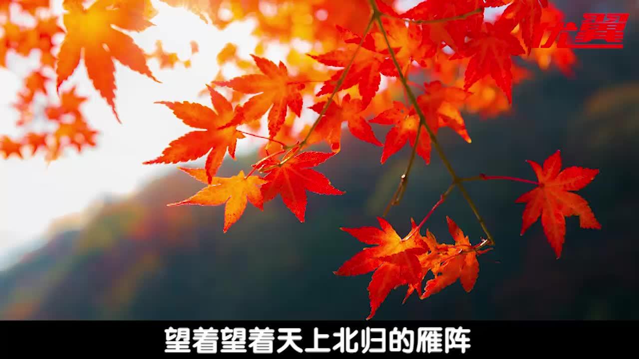 读完史铁生秋天的怀念你有哪些感悟