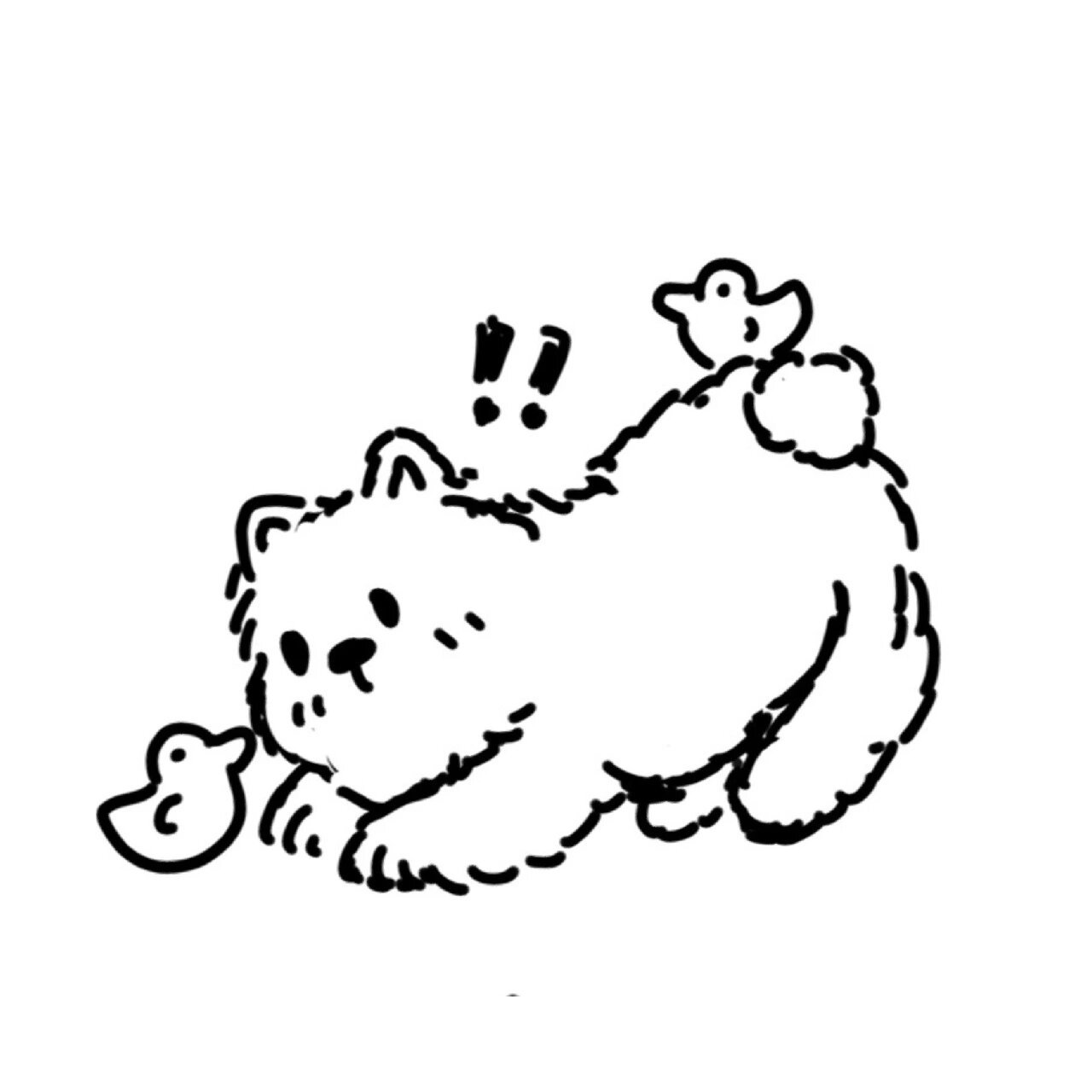 每天画一种小动物|狗狗系列9|博美 博美宝来咯～今天主打的是欠揍风