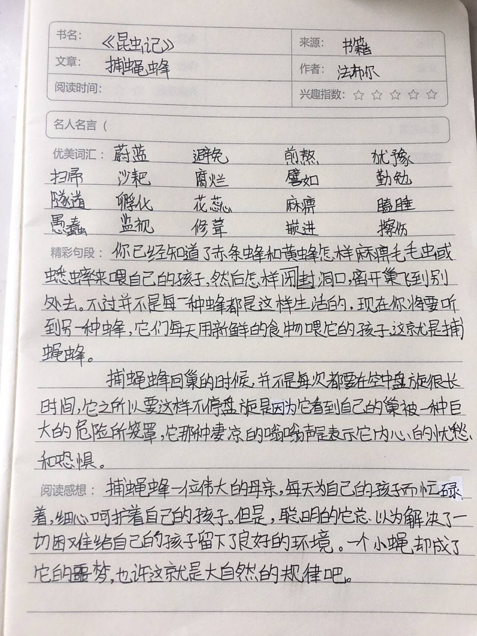 八年级上册必读《昆虫记》读书笔记❗️ 文章:捕蝇蜂