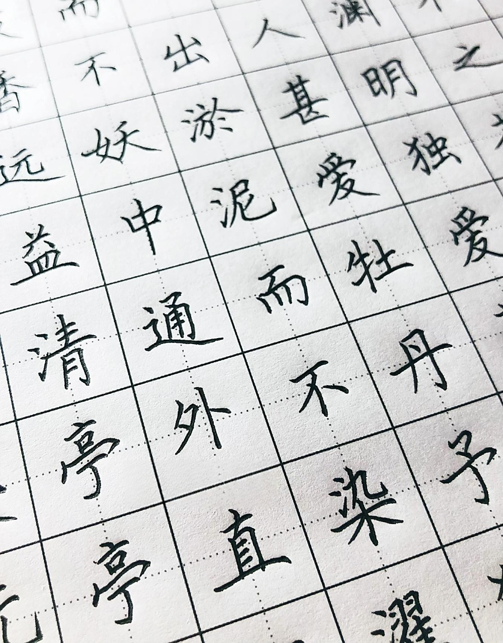 手写丨硬笔楷书 《爱莲说》出淤泥而不染 水陆草木之花,可爱者甚蕃.