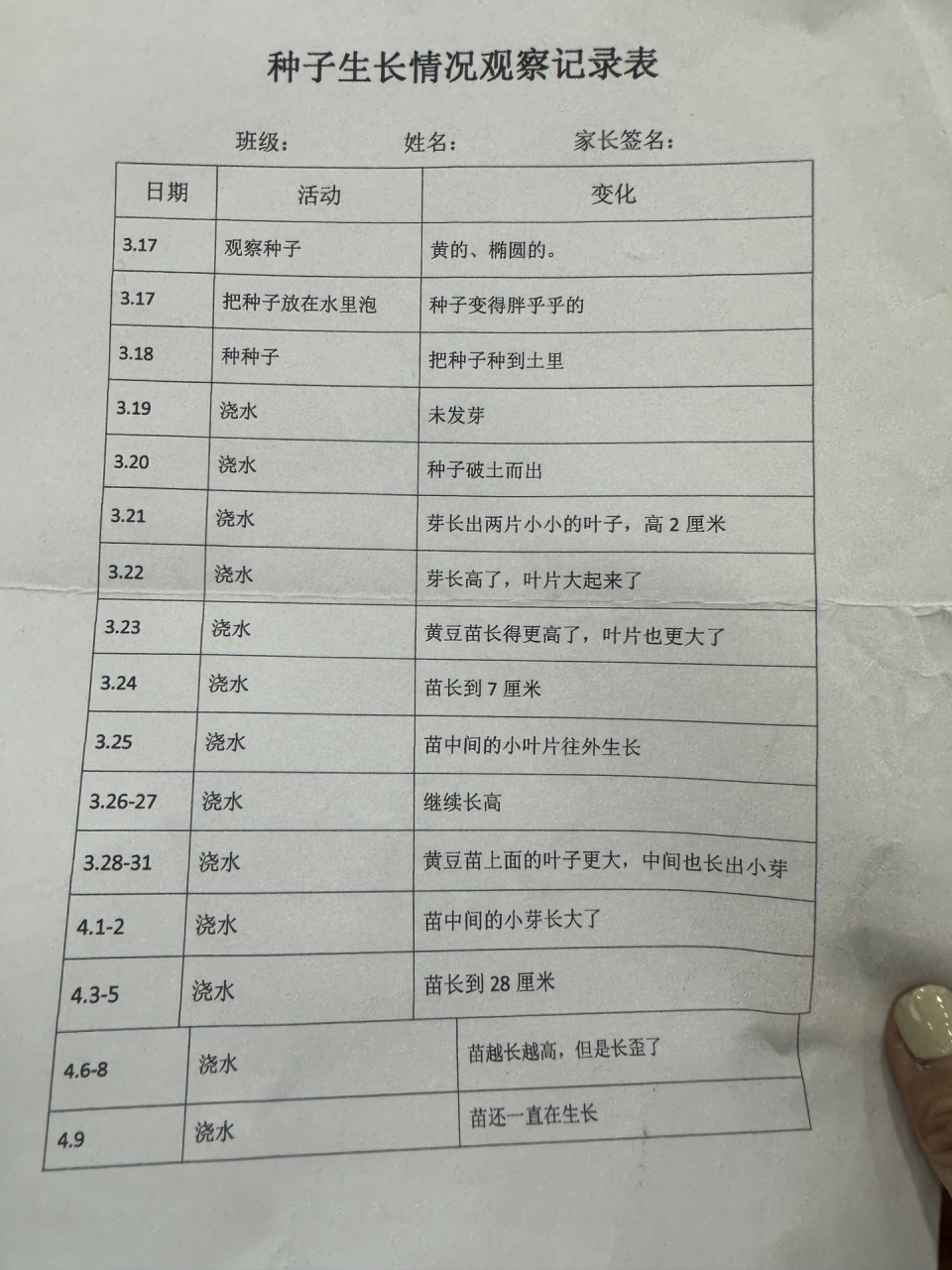 小学 种子生长情况观察记录表 观察实验 小学 种子生长情况观察记录表