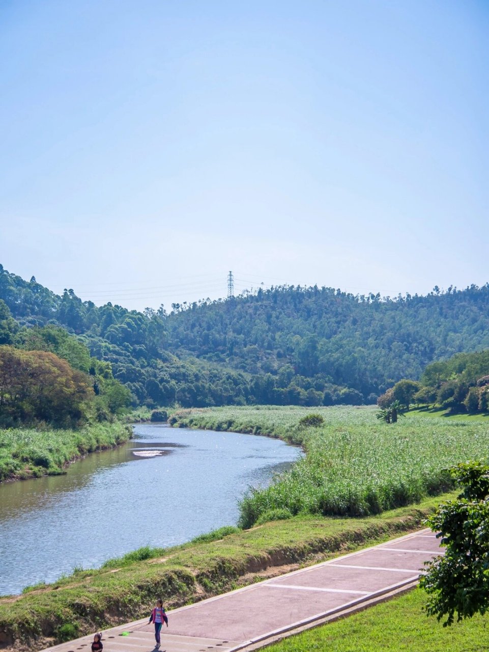 深圳龙岗湿地公园图片