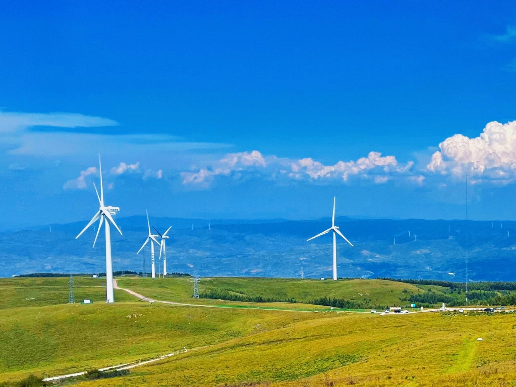山西最美草原 沁源县花坡草原