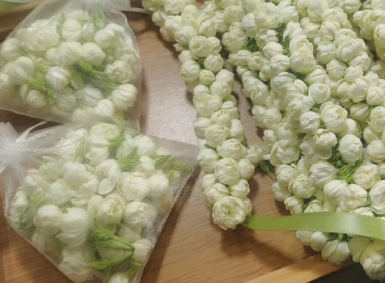 茉莉花骨朵 茉莉花手串 昆明需要买茉莉花骨朵的友友们,新鲜清香的