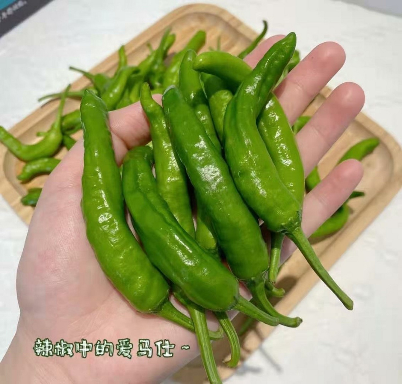 "神仙辣椒"樟树港辣椒02 皮真的很薄!