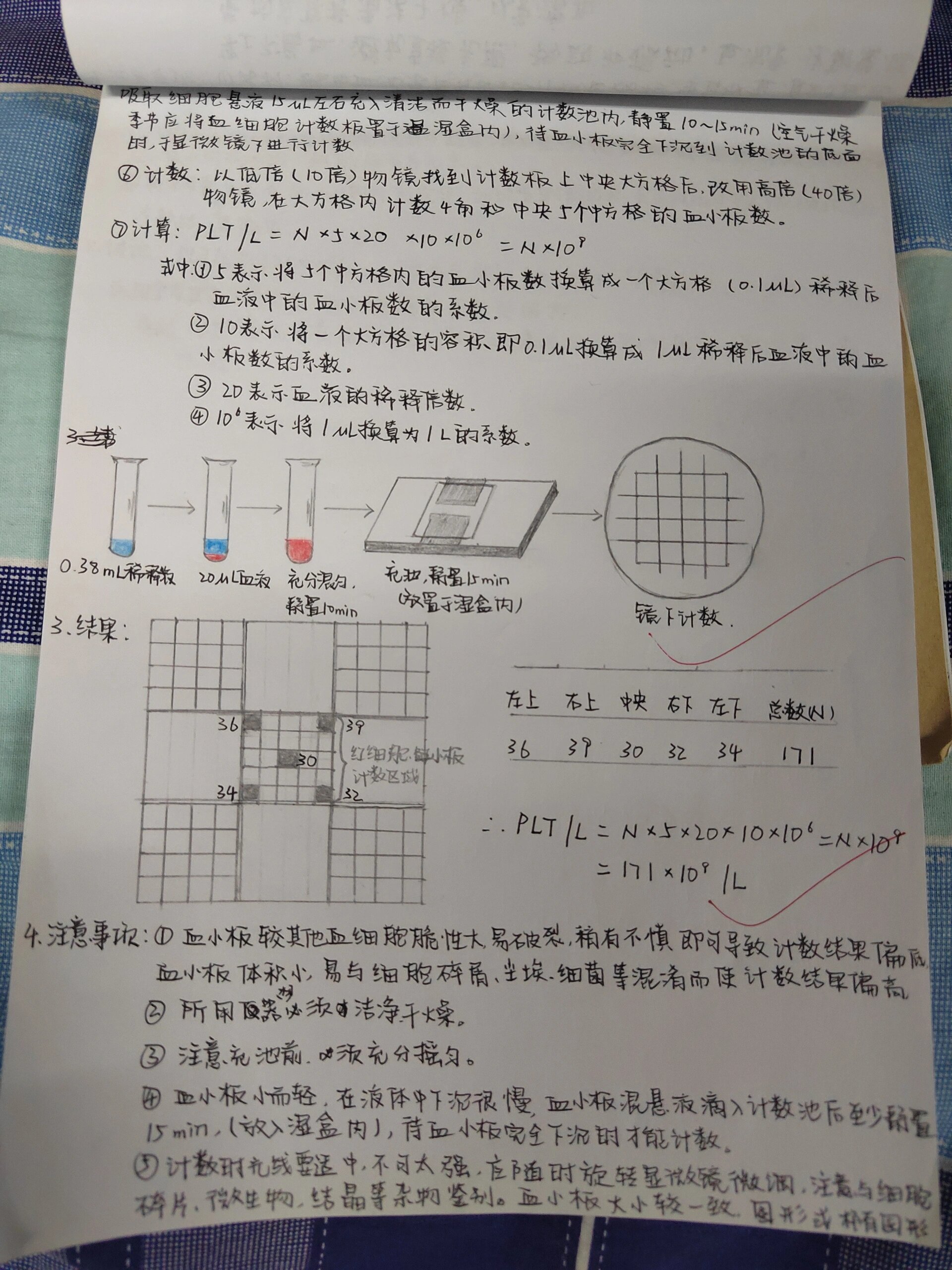 血小板手工计数图片