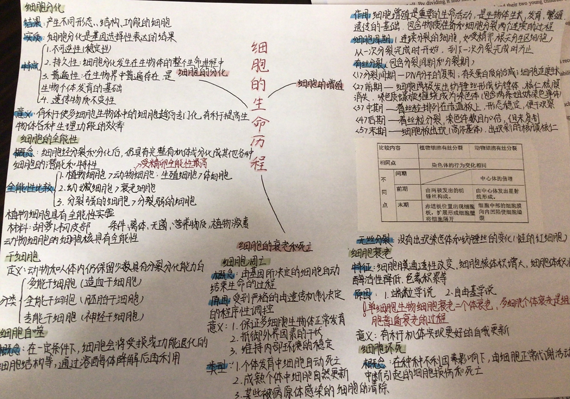 生物必修一第六章思维导图