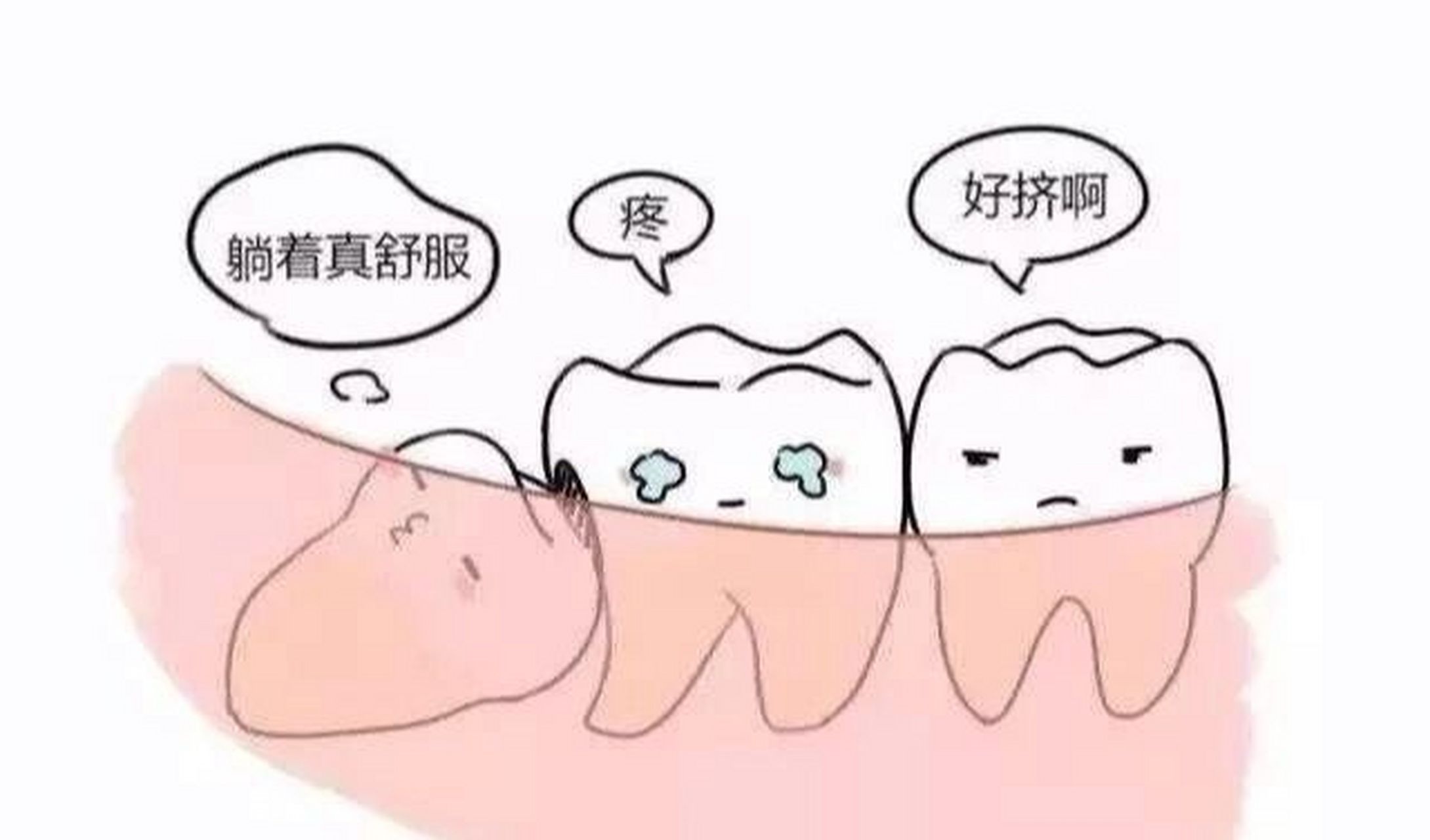 ‼️什么是智齿?