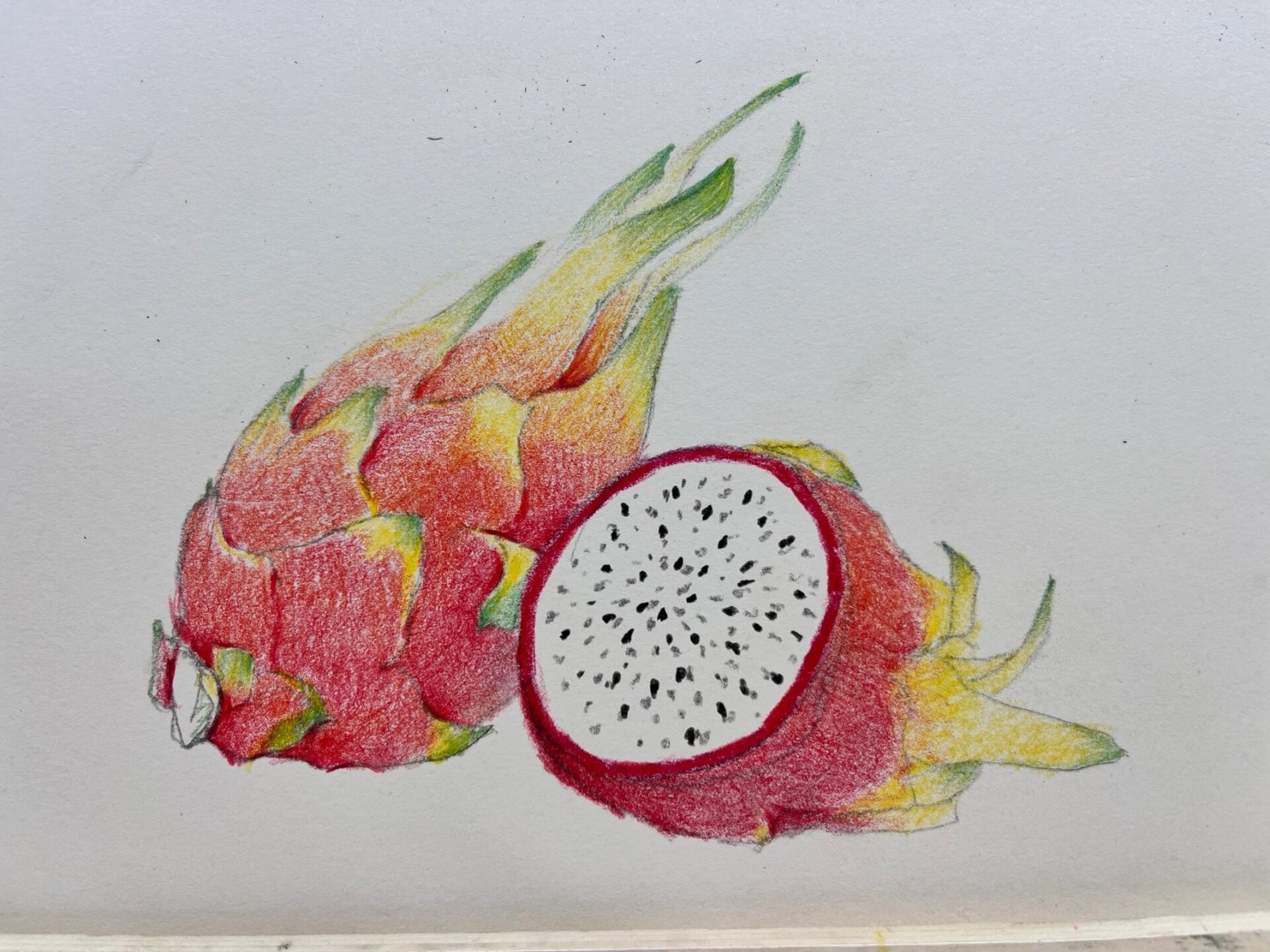 彩铅手绘·红红火火火龙果