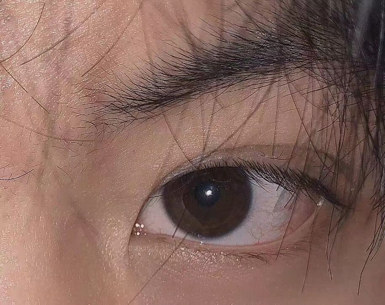 手机如何拍出超清眼部特写(睫毛根根分明) 我的方法是找好角度,然后