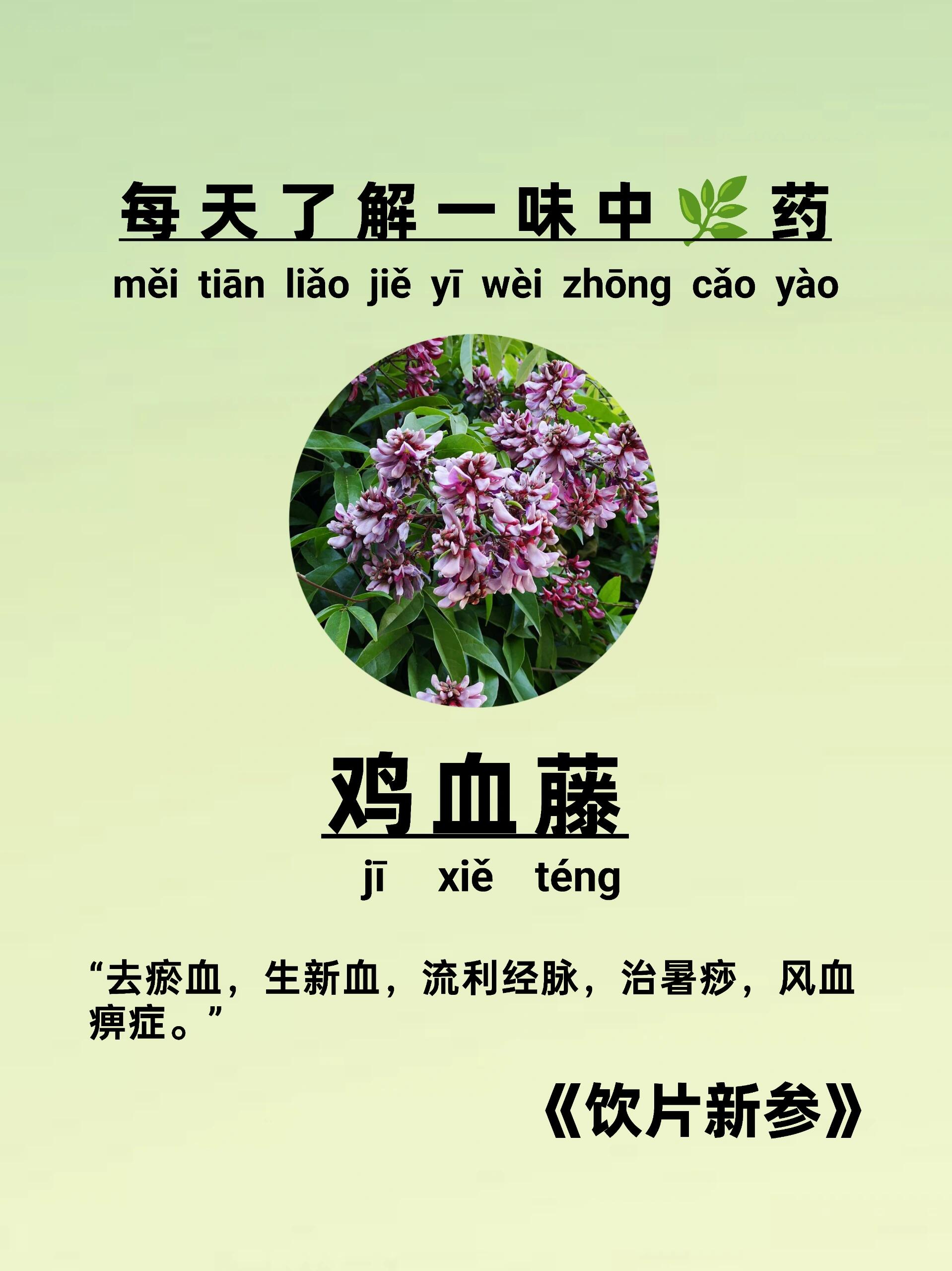 82别名:血风藤,血藤,三叶鸡血藤.