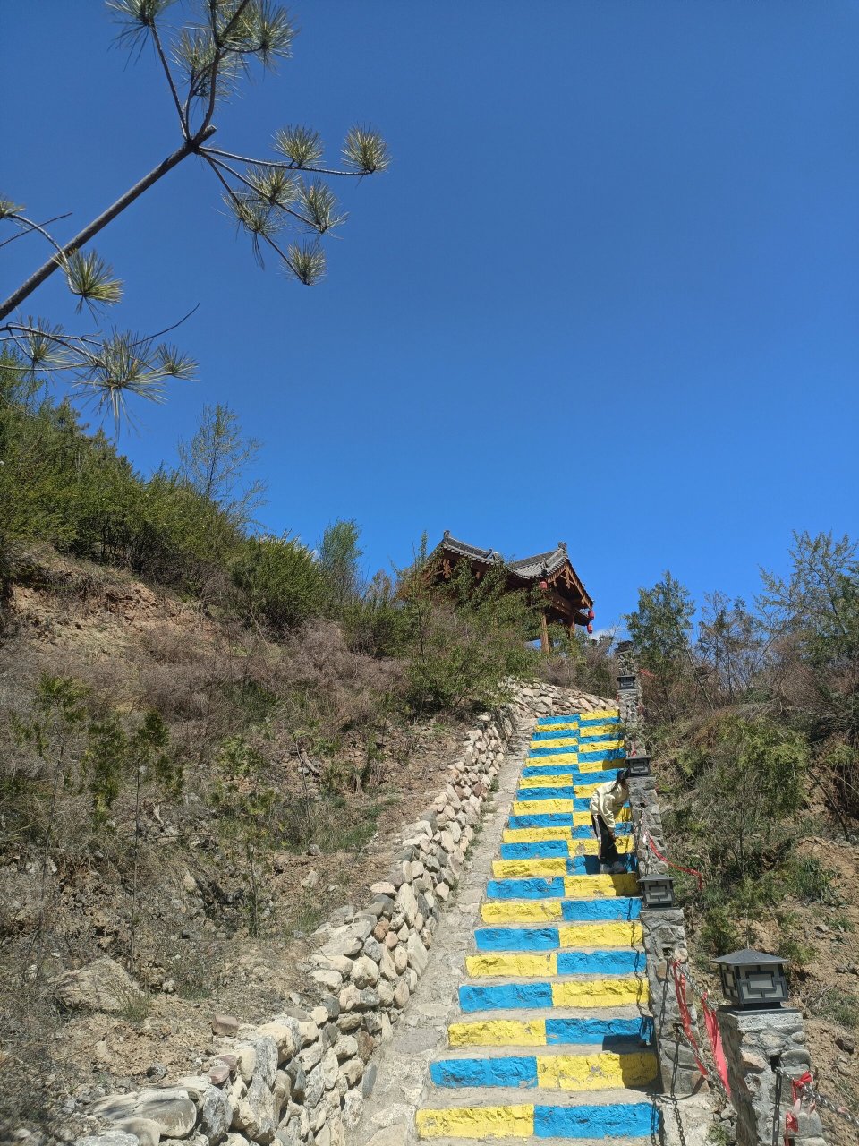 孔雀小镇|凤岛孔雀小镇 孔雀小镇位于太原市娄烦县天池店乡顺道村.