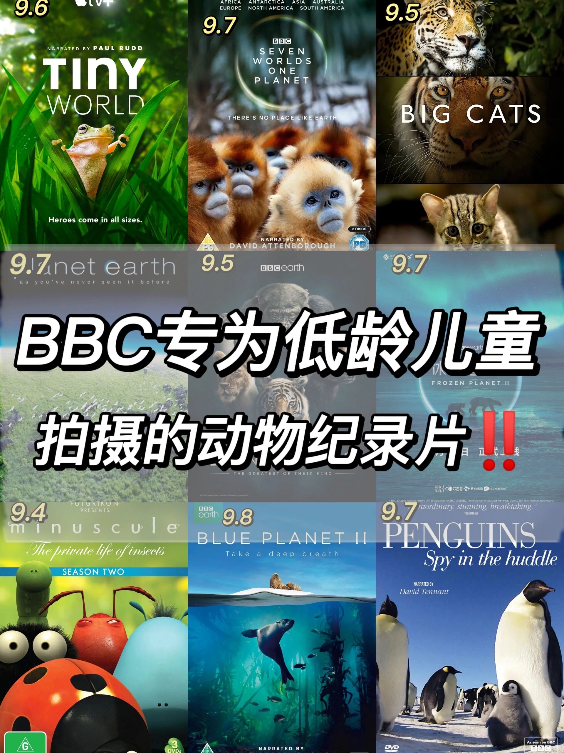 英国bbc纪录片大全图片