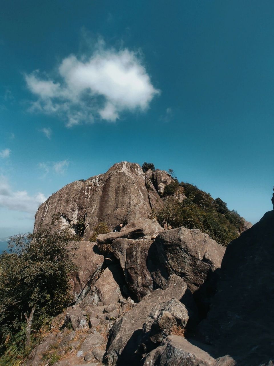 厦门岛内爬山图片